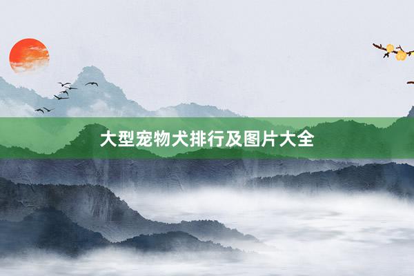 大型宠物犬排行及图片大全
