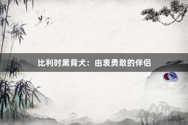 比利时黑背犬：由衷勇敢的伴侣